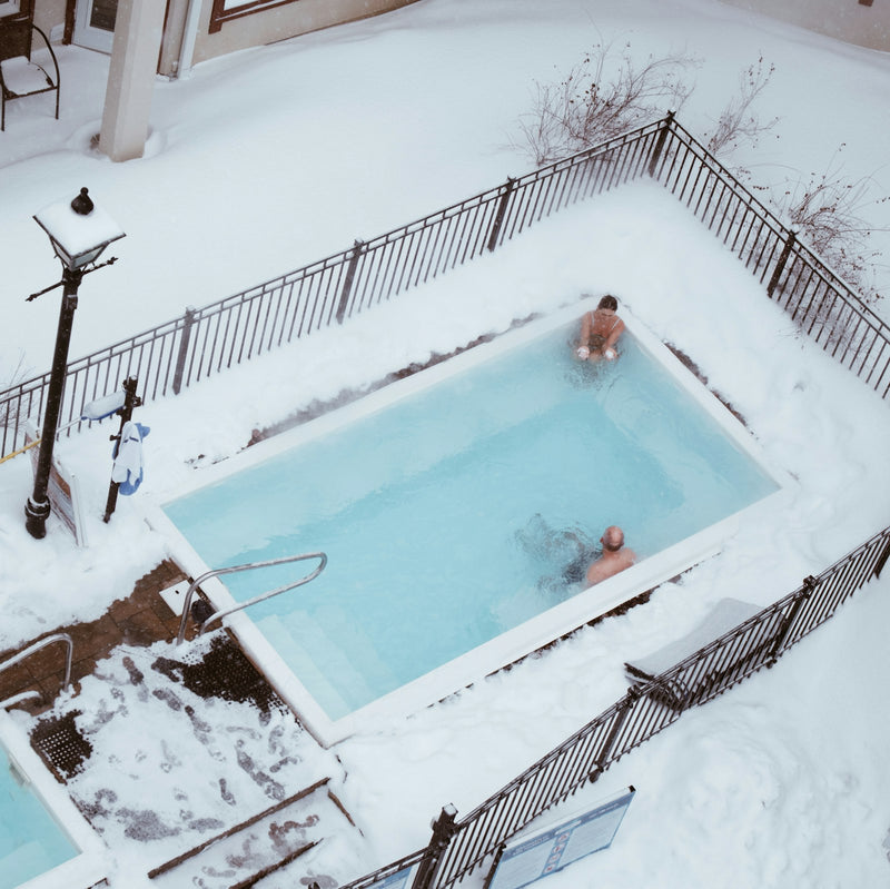 Endless Summer Pool Heater Package (2,000 gallon)